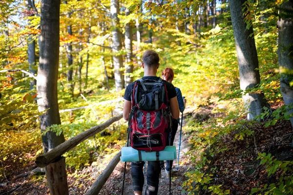 Trekking Nella Foresta Primaverile — Foto Stock