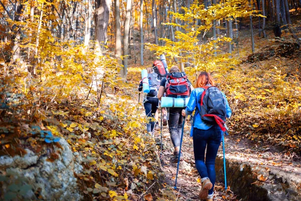Grupo Excursionistas Caminando Por Sendero Montaña Trekking Juntos — Foto de Stock