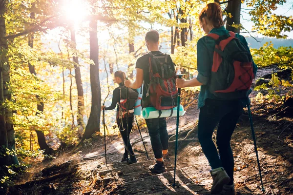 Trekking Forest Group Friends Backpacks — Stock Photo, Image