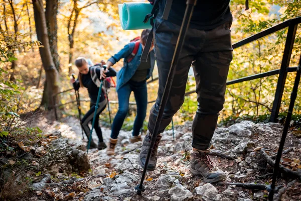 Podróżni Podczas Trekkingu Plecaki Wspina Stromych Szlaku Leśnym — Zdjęcie stockowe