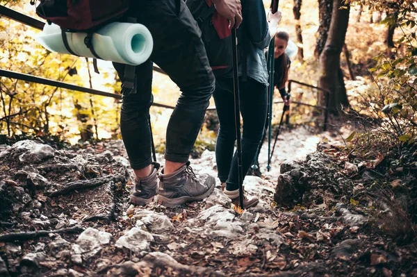 Viaggiatori Durante Trekking Con Zaini Sentiero Forestale Roccioso — Foto Stock