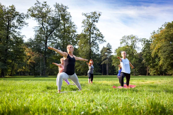 Altersgemischte Gruppe Von Menschen Die Draußen Park Yoga Praktizieren — Stockfoto