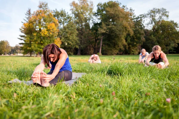 混合年龄组的人练习瑜伽在公园外 — 图库照片