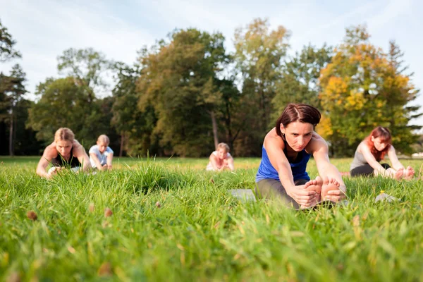 Gemengde Leeftijdsgroep Van Mensen Die Yoga Beoefenen Buiten Het Park — Stockfoto