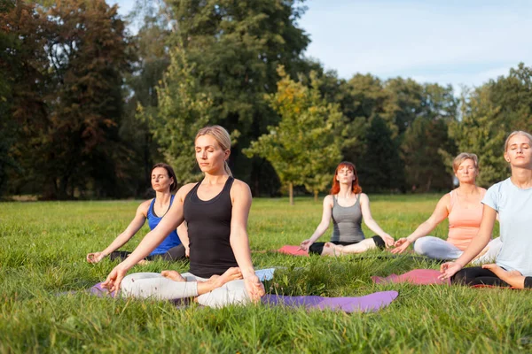 Parkta dışarıda yoga yapan insanların karışık yaş grubu
