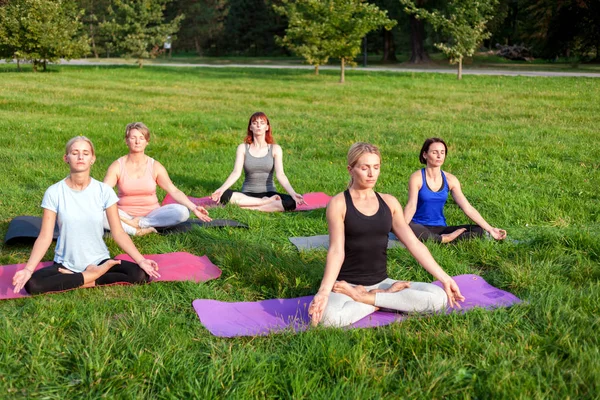 Parkta dışarıda yoga yapan insanların karışık yaş grubu