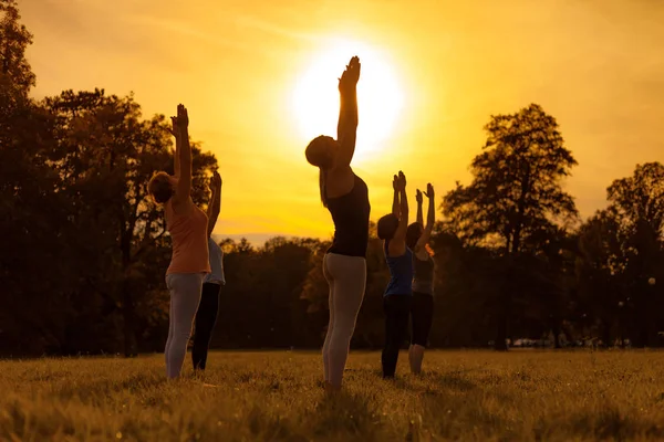 Grupo Edad Mixta Personas Que Practican Yoga Afuera Parque Mientras —  Fotos de Stock