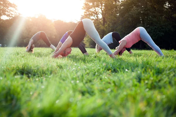 Mixed Age Group People Practicing Yoga Park While Sunset — Stock Photo, Image