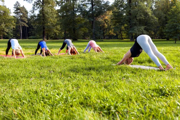 Instructeur Effectuant Des Exercices Yoga Avec Groupe Âge Mixte Personnes Images De Stock Libres De Droits