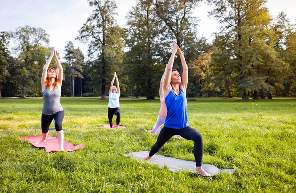 Groupe Âge Mixte Personnes Pratiquant Yoga Extérieur Dans Parc Photos De Stock Libres De Droits