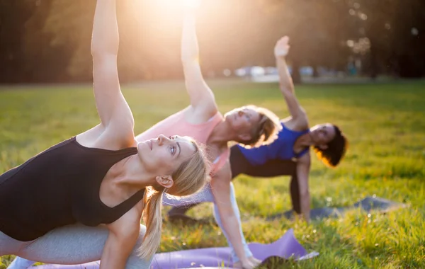 Yoga Parc Groupe Femmes Âge Mixte Posant Pendant Coucher Soleil Images De Stock Libres De Droits