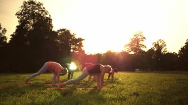 Gün batımı sırasında parkta yoga yapan insanların karışık yaş grubu