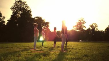 Gün batımı sırasında parkta yoga yapan insanların karışık yaş grubu