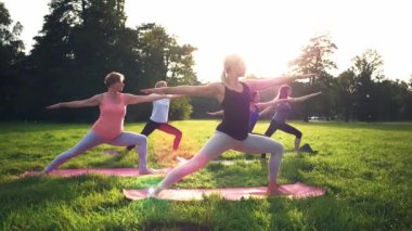 Gün batımı sırasında parkta yoga yapan insanların karışık yaş grubu
