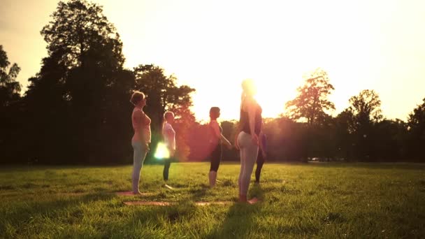 Gemischte Altersgruppe Von Menschen Die Während Des Sonnenuntergangs Draußen Park — Stockvideo