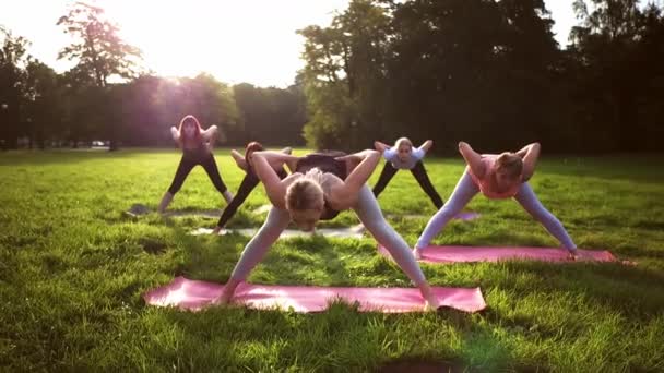 Gemengde Leeftijdsgroep Mensen Beoefenen Yoga Buiten Het Park Tijdens Zonsondergang — Stockvideo