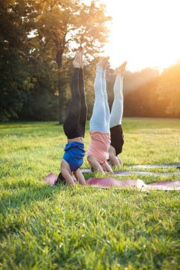 Park 'ta yoga, bir grup karışık yaş kadını salamba sirsasana poz veriyor.