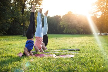 Park 'ta yoga, bir grup karışık yaş kadını salamba sirsasana poz veriyor.