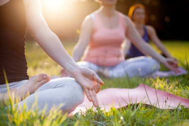 Parkta yoga yapan ve gün batımında meditasyon yapan bir grup karışık yaş kadını.