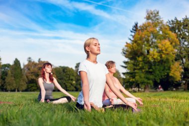 Yoga parkta genç kadın ile karışık yaş insanların grup yapıyor
