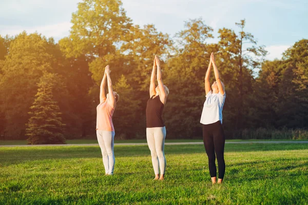 Yoga at park, group of mixed age women doing pose while sunset