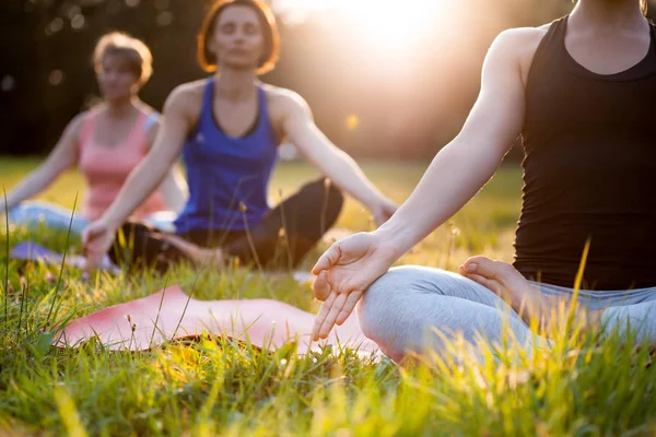 公园里的瑜伽 一群在日落时练习瑜伽和冥想的混龄女性 — 图库照片