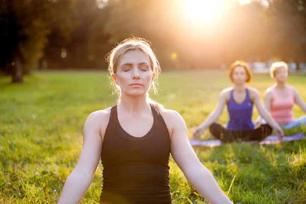 Parkta Yoga Yapan Gün Batımında Meditasyon Yapan Bir Grup Karışık — Stok fotoğraf