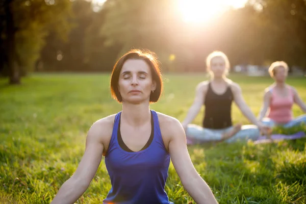 Parkta Yoga Yapan Gün Batımında Meditasyon Yapan Bir Grup Karışık — Stok fotoğraf