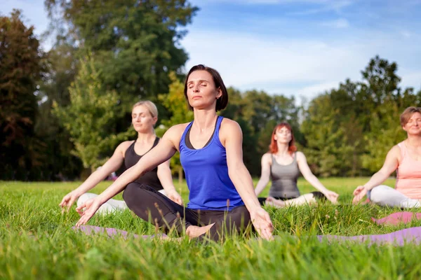 Yoga Parque Mujer Mediana Edad Haciendo Ejercicios Con Grupo Personas —  Fotos de Stock