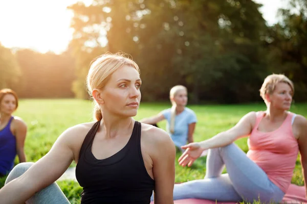 Parkta Yoga Yapan Orta Yaşlı Bir Kadın Bir Grup Melez — Stok fotoğraf