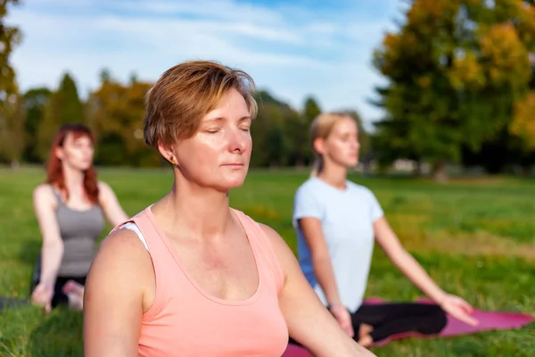 Parkta Yoga Yaşlı Kadın Karışık Yaş Grubuyla Egzersiz Yapıyor — Stok fotoğraf