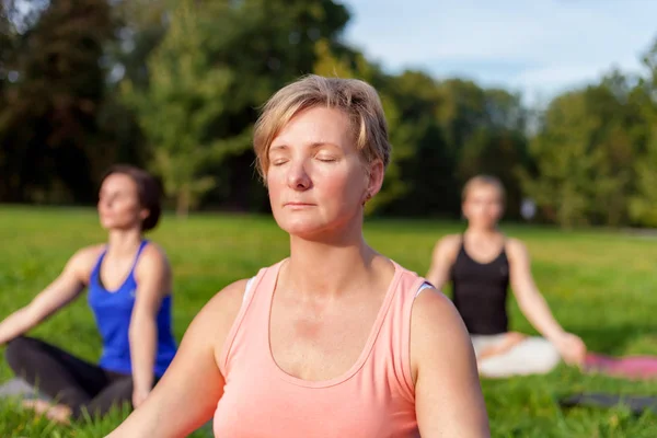 Parkta Yoga Yaşlı Kadın Karışık Yaş Grubuyla Egzersiz Yapıyor — Stok fotoğraf