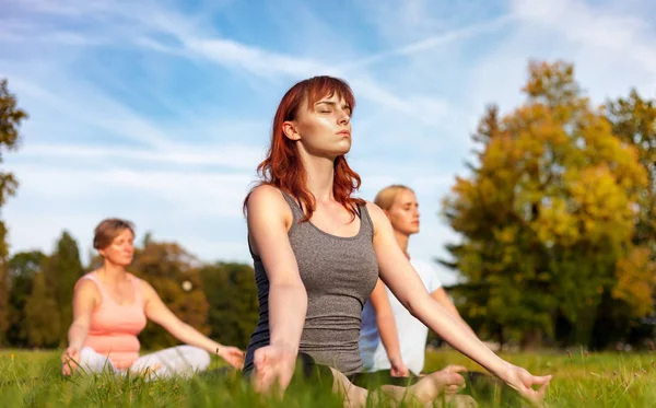 Yoga Parque Mujer Joven Haciendo Ejercicios Con Grupo Personas Edad —  Fotos de Stock