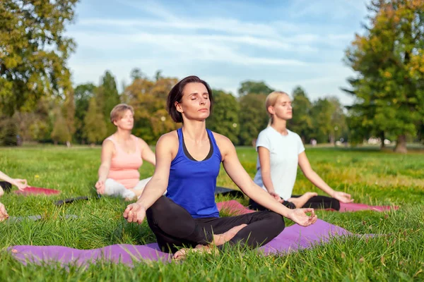 Yoga Dans Parc Femme Âge Moyen Faisant Des Exercices Avec Images De Stock Libres De Droits