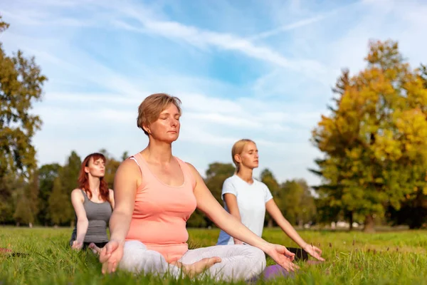 Yoga Dans Parc Femme Âgée Faisant Des Exercices Avec Groupe Photo De Stock