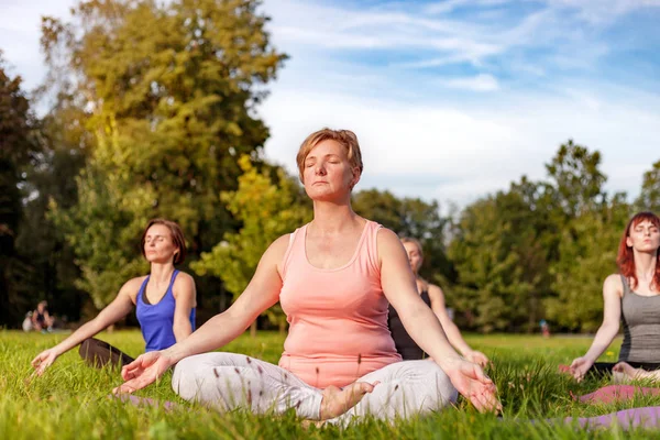 Yoga Dans Parc Femme Âgée Faisant Des Exercices Avec Groupe Image En Vente