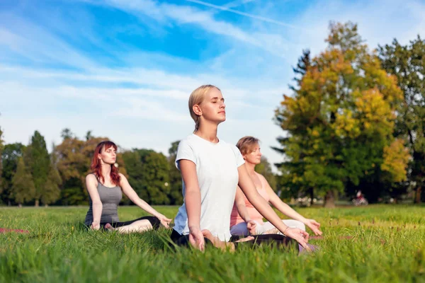 Yoga Dans Parc Jeune Femme Faisant Des Exercices Avec Groupe Photo De Stock