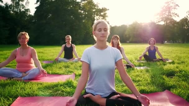 Yoga Parque Grupo Mujeres Edad Mixta Practicando Yoga Meditando Mientras — Vídeo de stock