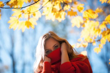 Sonbahar manzarası renkli yaprakları tarafından çevrili doğal kadın