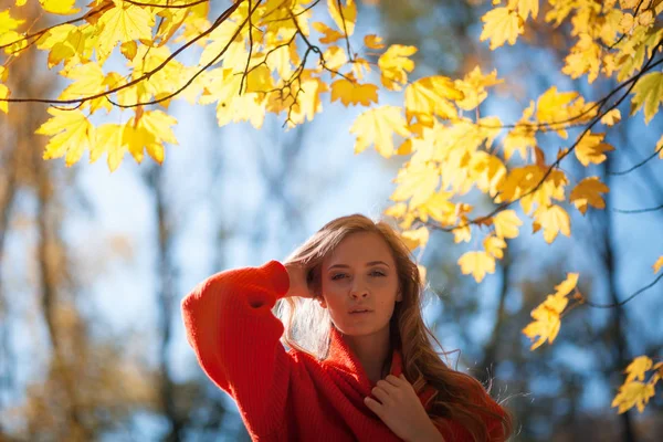 Mujer Natural Paisaje Otoño Rodeado Hojas Colores —  Fotos de Stock