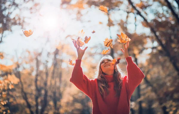 Örme kazak atarak kadın sonbahar parkta bırakır