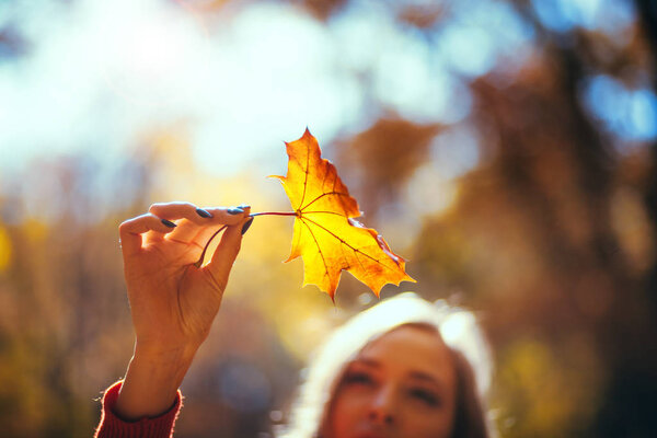 Natural woman holding colorful autumn leaf in bright sunlight