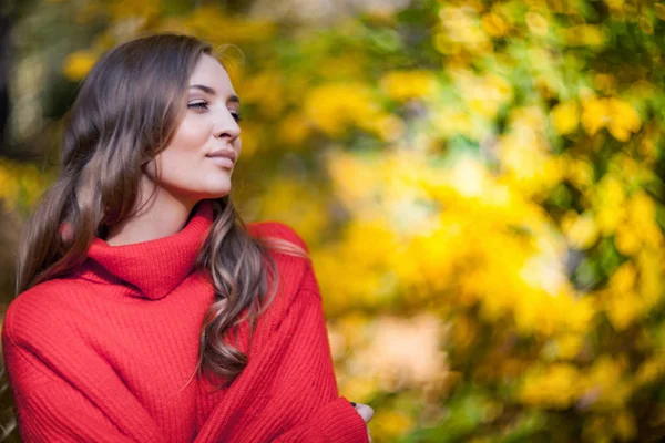 美丽的自然妇女在温暖的毛衣在自然背景 — 图库照片