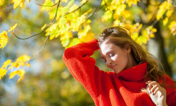 Природные Женщины Осенних Пейзажах Окружены Красочными Листьями — стоковое фото