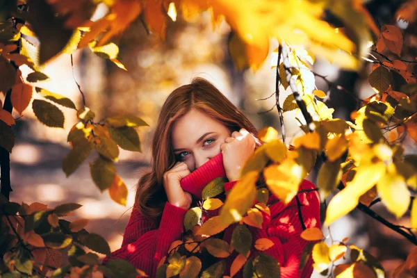 Naturel Belle Femme Entourée Feuilles Les Gens Dans Nature Concept — Photo