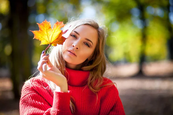 自然的女人拿着五颜六色的秋叶在明亮的阳光下 — 图库照片
