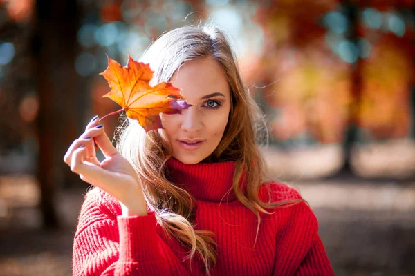 自然的女人拿着五颜六色的秋叶在明亮的阳光下 — 图库照片