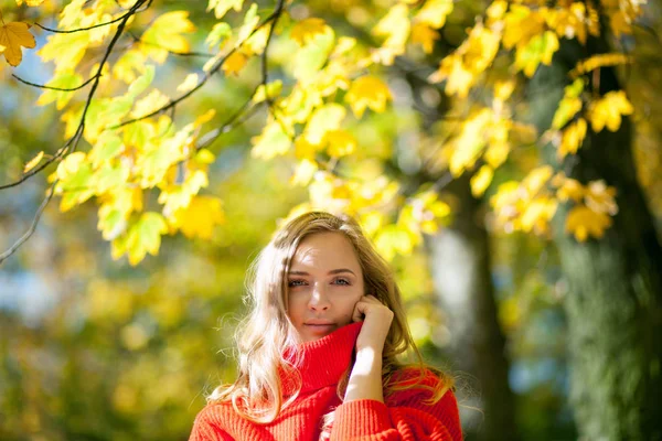 Natuurlijke Vrouw Herfst Landschap Omgeven Door Kleurrijke Bladeren — Stockfoto