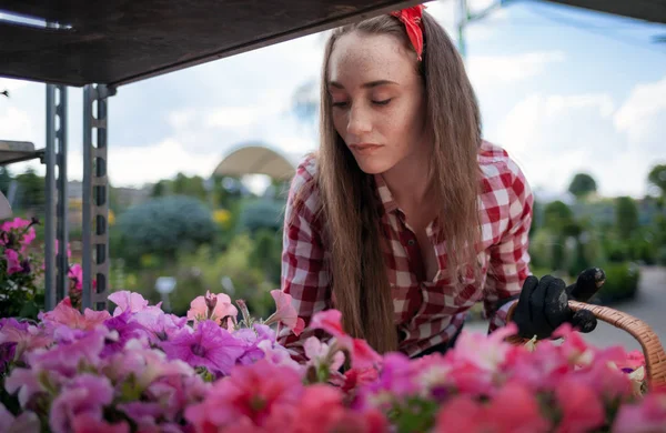 Cliente Mulher Escolhendo Flores Vaso Centro Jardim — Fotografia de Stock