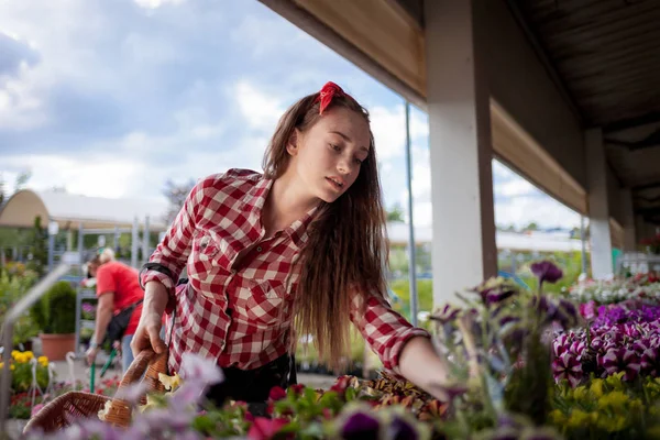 Kundin Wählt Topfblumen Gartencenter — Stockfoto